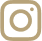 instagram ikona